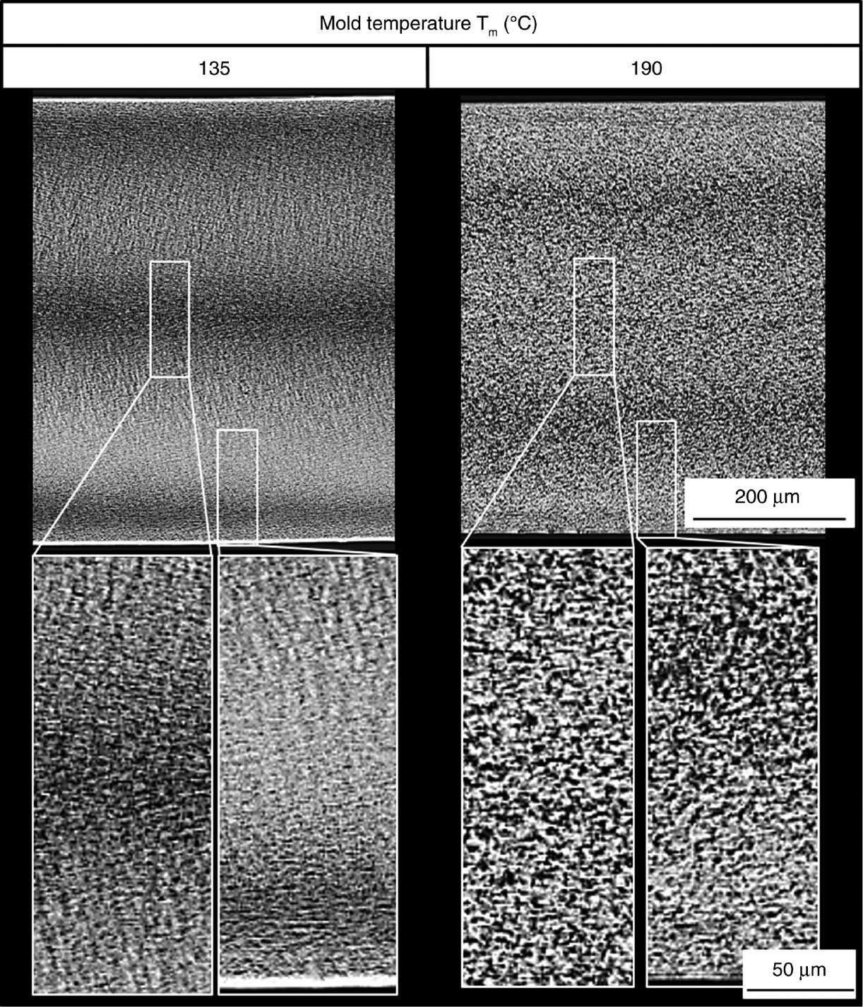 Figure 6: Morphology of an injection-molded plate produced at a mold temperature zone (Tm) of 135°C (left) and 190°C (right).