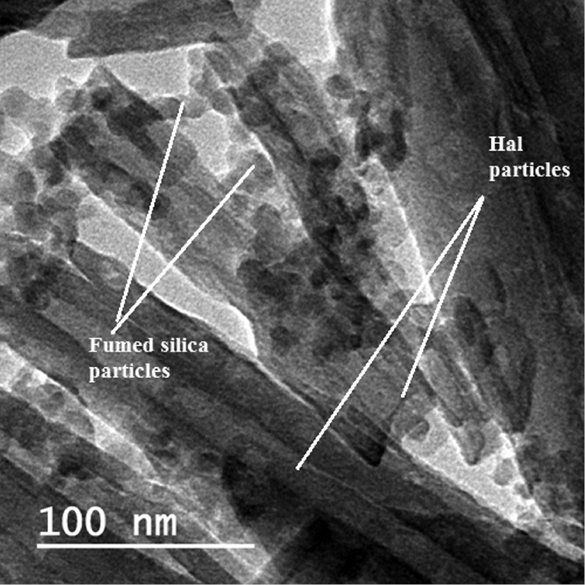 ハル Steady shear and dynamic strain thickening of halloysite
