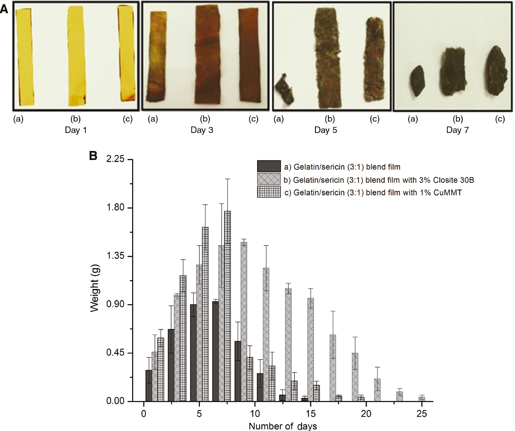 Figure 4: (A) Biodegradability test of samples: (a) 3:1 gelatin/sericin blend film, (b) 3:1 gelatin/sericin blend with 1% CuMMT and (c) 3:1 gelatin/sericin blend with 3% Closite 30B. (B) Weight change in the film samples due to biodegradation. Error bars represent standard deviation in data.