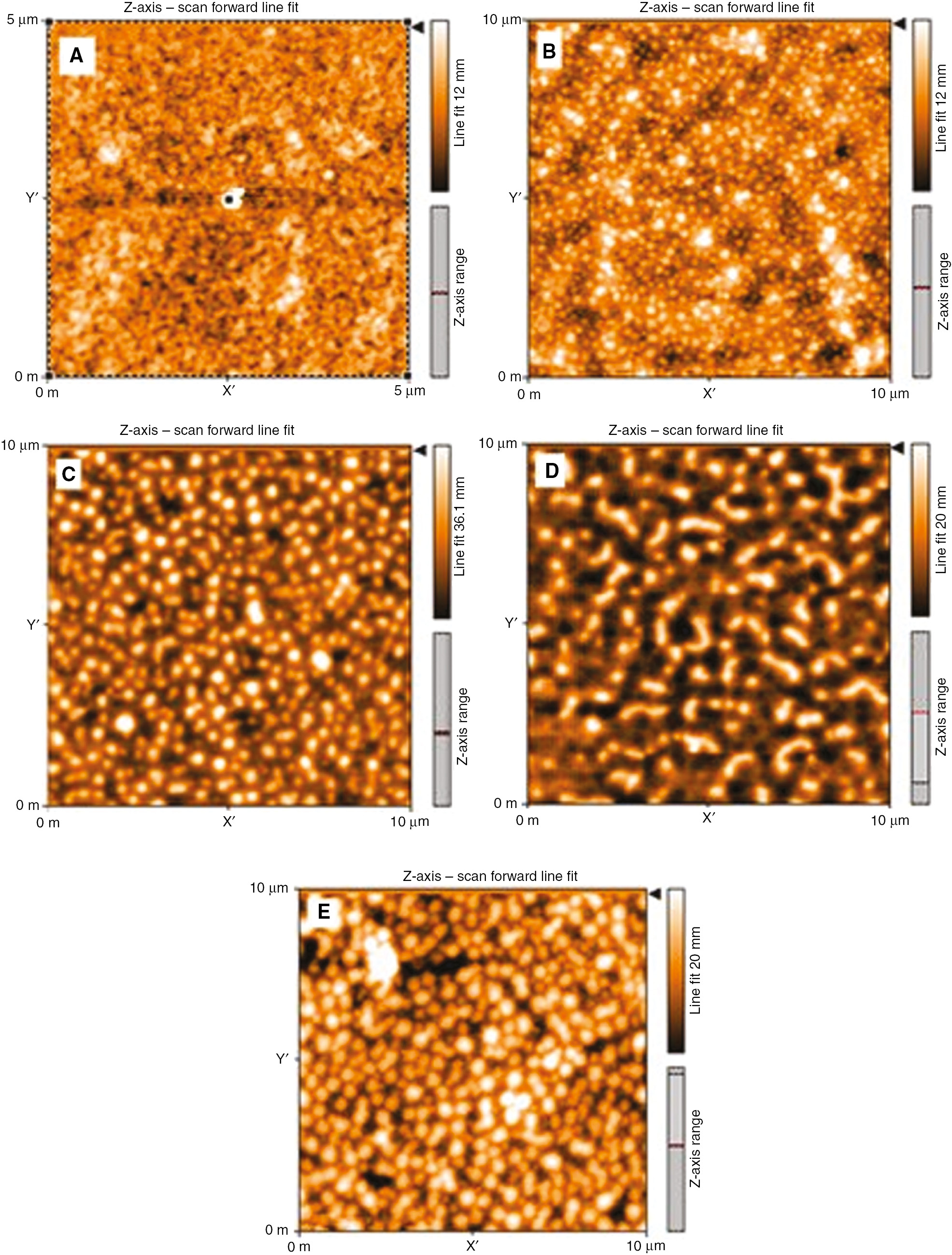 Figure 5: The AFM images of the (A) P3HT:PCBM, (B) P3HT:PTB7:PCDTBT:PCBM, (C) P3HT:PTB7:PCBM, (D) P3HT:PCDTBT:PCBM, and (E) PTB7:PCDTBT:PCBM layers.