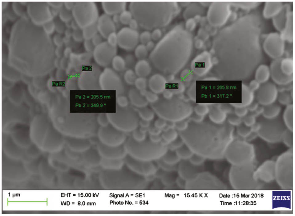 Figure 5: SEM images of LNS-loaded PLGA nanoparticles.