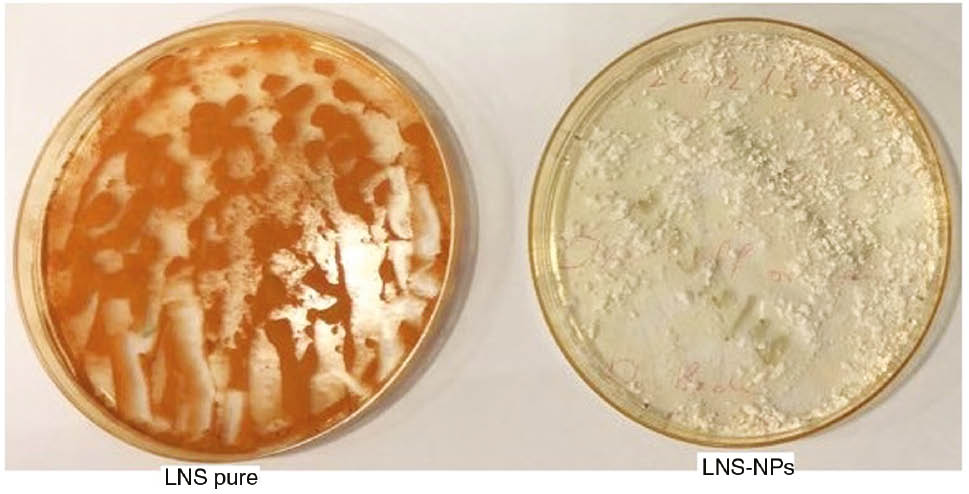 Figure 8: Samples of pure LNS and LNS-NPs after exposure to UV light at 254 nm.