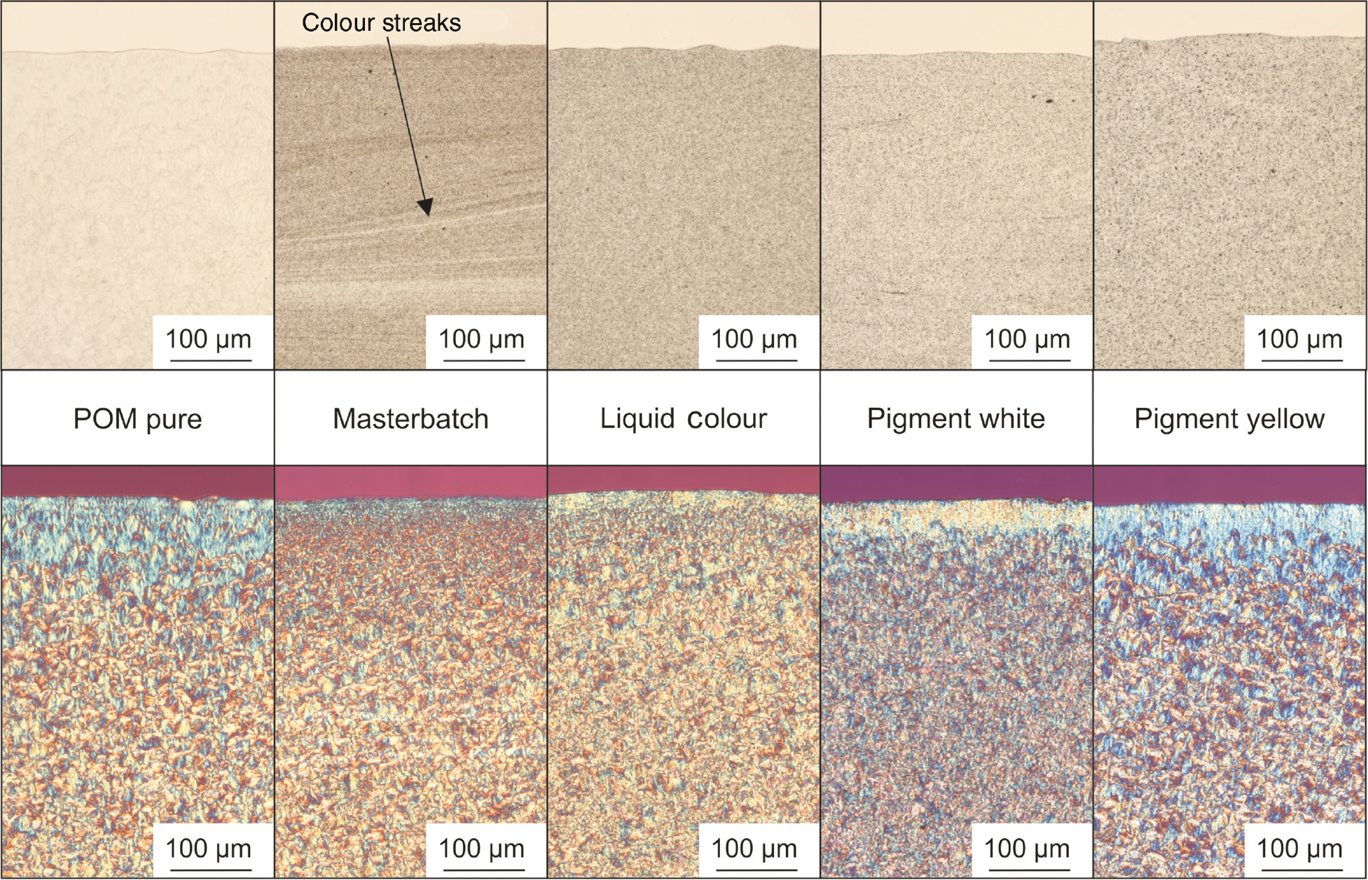 Figure 3: Pigment dispersion (top) and morphology (bottom) of the test specimens.