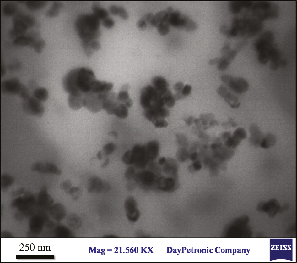Figure 5: TEM images from PS80/PMMA20 with 5% calcium carbonate nanoparticles.