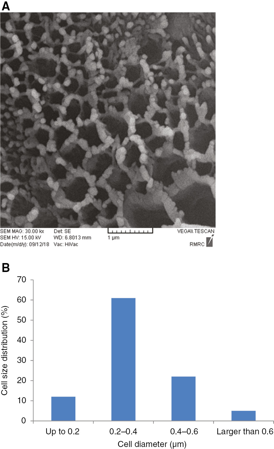 Figure 8: (A) SEM and (B) cell size distribution for PS50/PMMA50 foam samples when 5 wt% nanoparticles was added to the composite.