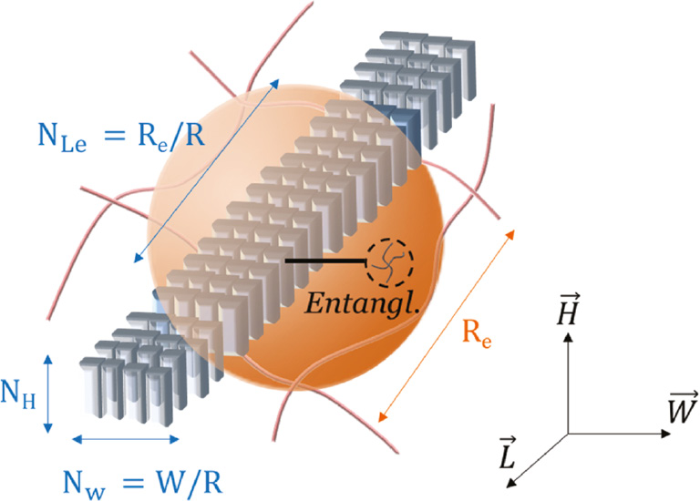 Appendix Figure 1: Schematic representation of the topological nodes present in a subspace of soft-phase crossed by a HS crystallite. By construction, the HS can stack along W→$\vec W$ and L→$\vec L$ only.