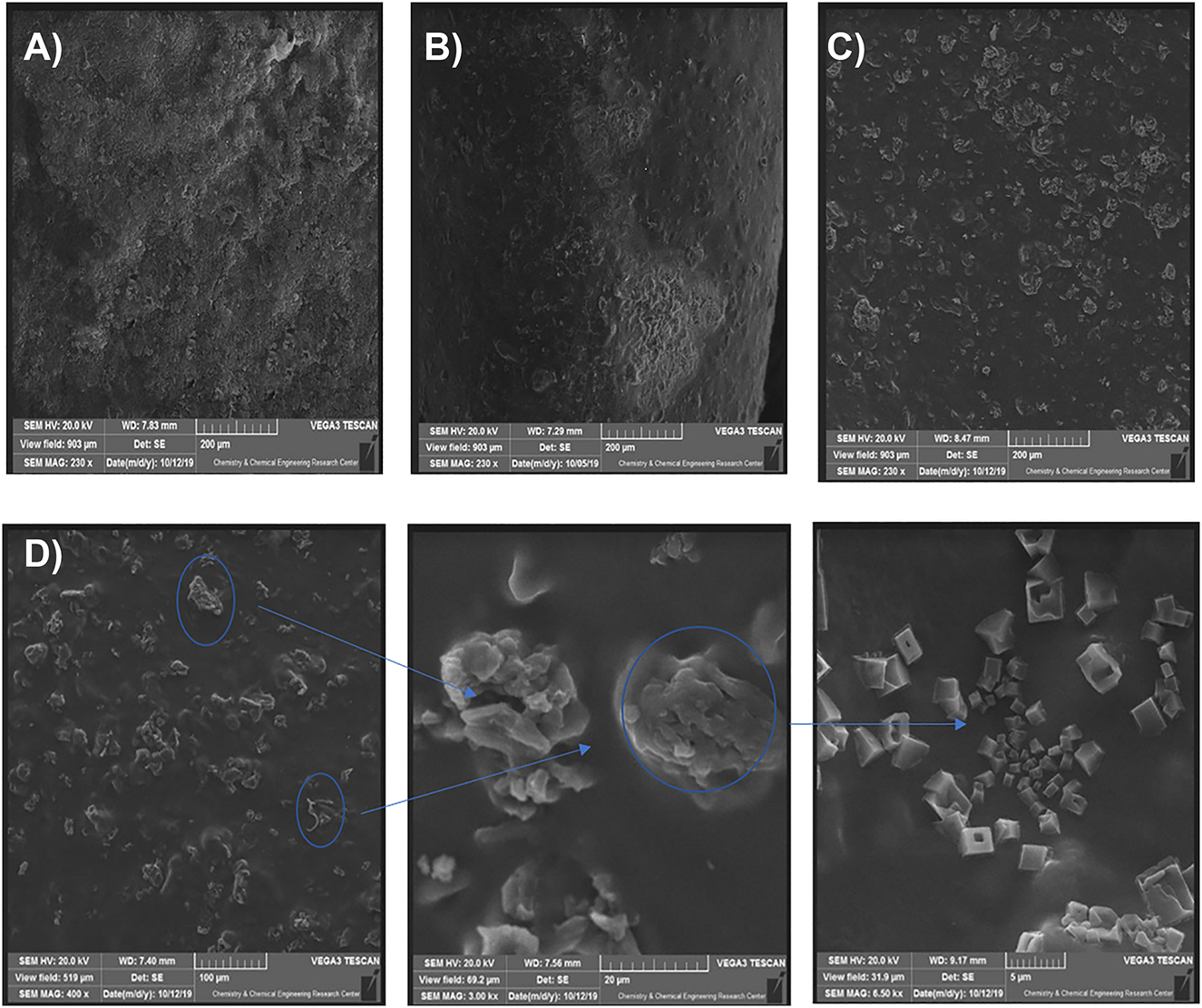 Figure 8: 
SEM images of IPN nanocomposites hydrogel: (A) 0.1, (B) 0.3, (C) 0.5 wt.% of GO, and (D) agglomeration of GO particles at 0.5 wt.%.
