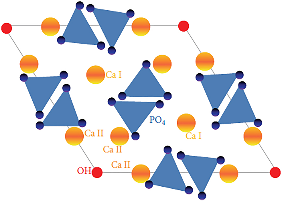 Figure 2: 
Schematic showing the structure of pure hydroxyapatite.
