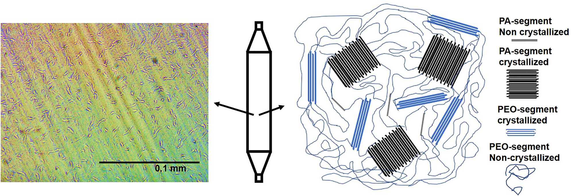 Figure 2: 
Optical microscopy of the Pebax balloon surface at magnification of 40×.
