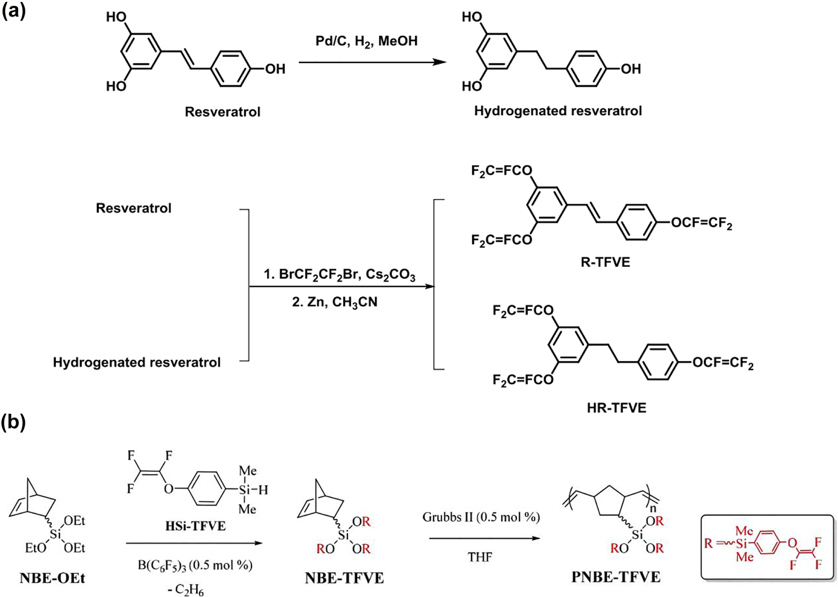 Figure 8: 
Synthesis process of (a) TFVE and (b) PNBE-TFVE.
