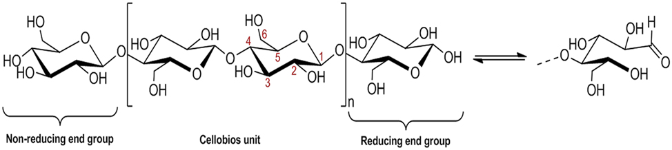 Figure 3: 
Cellulose molecular structure [106].
