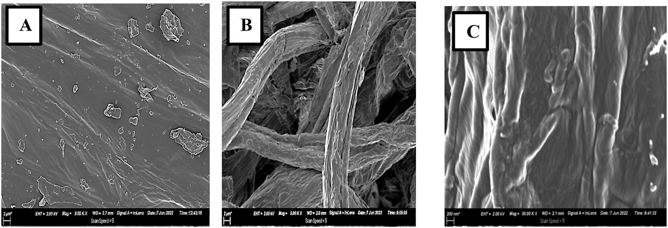 Figure 6:
SEM micrographs of (A) maize tassels and (B–C) celluose fibers extracted from maize tassels after chemical treatment at 2000x and 50,000x magnification, respectively.