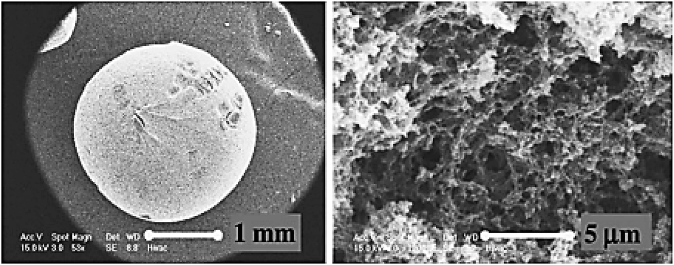 Figure 9: 
SEM micrographs of cellulose bead @ (A) 1 mm and (B) 5 µm magnification [192].
