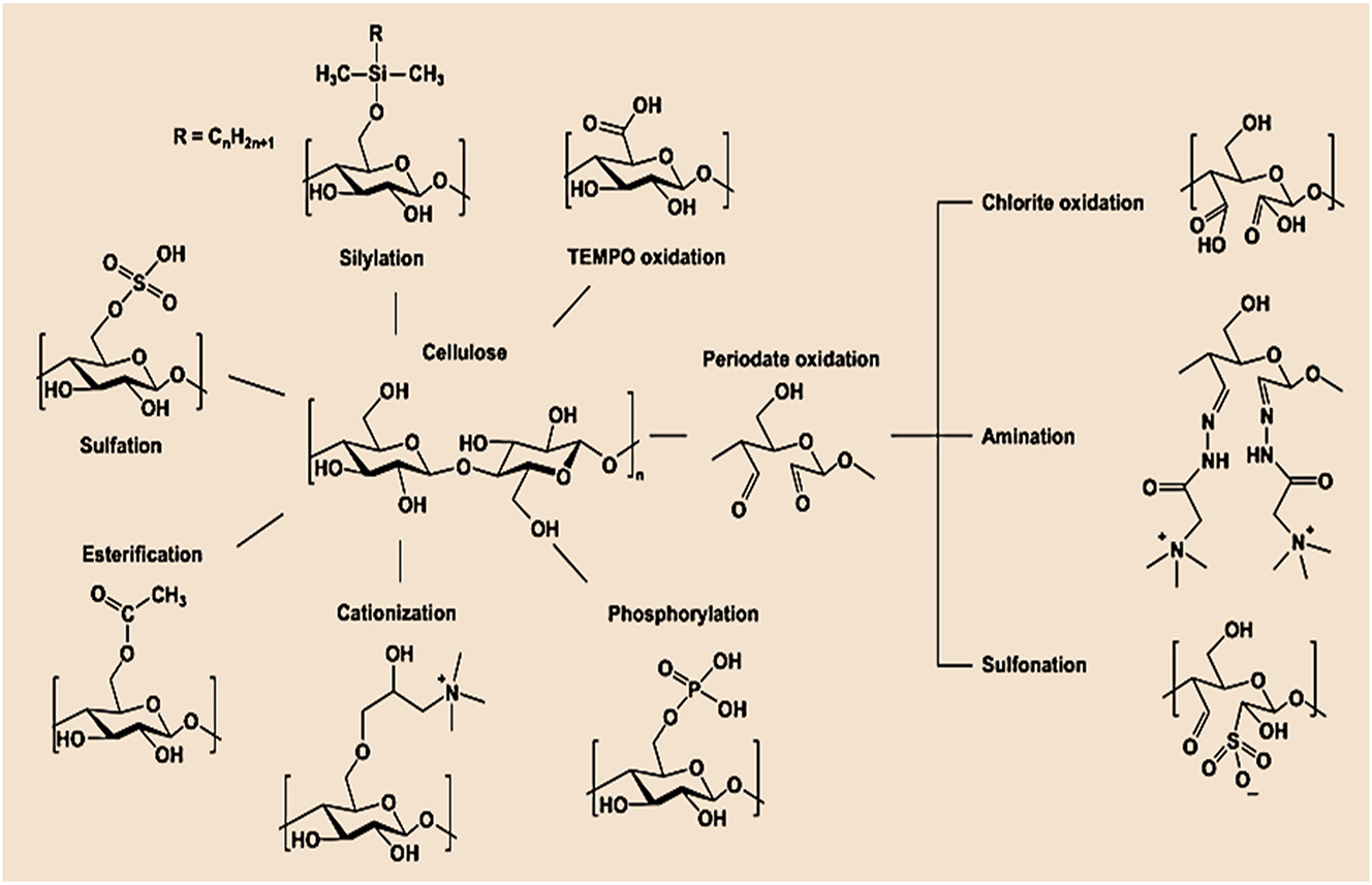 Figure 10: 
Schematic representation of strategies for nanocellulose modification [101].
