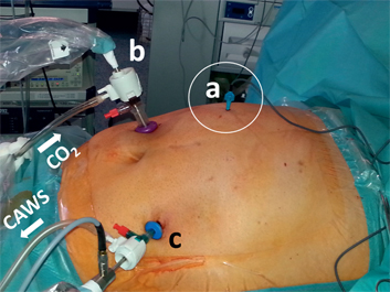 Figure 1: Technical setup for ePIPAC.