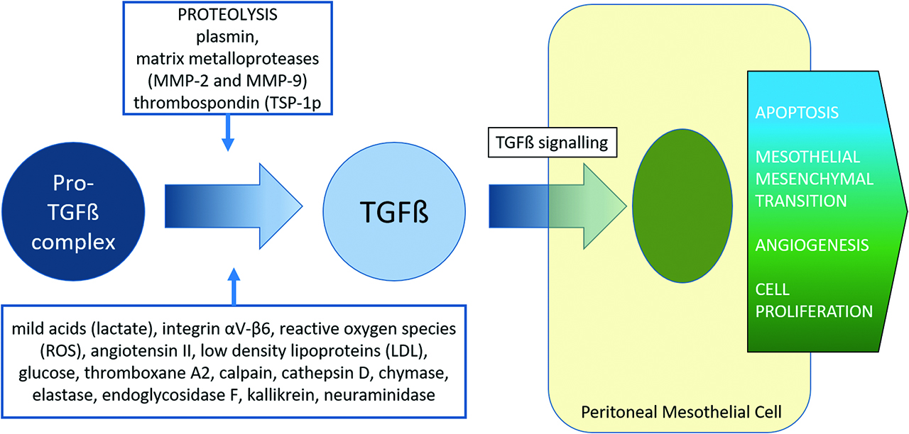 Figure 4: The TGF paradox.