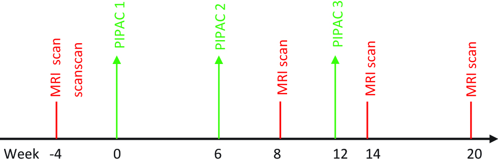 Figure 2: Treatment algorithm for Pressurized IntraPeritoneal Aerosol Chemotherapy (PIPAC) group.