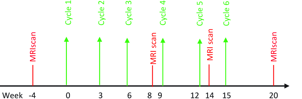 Figure 3: Treatment algorithm for intravenous (IV) chemotherapy group.