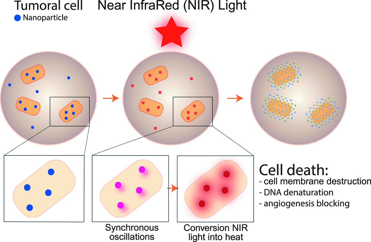 Figure 2: photothermal therapy, mechanism.