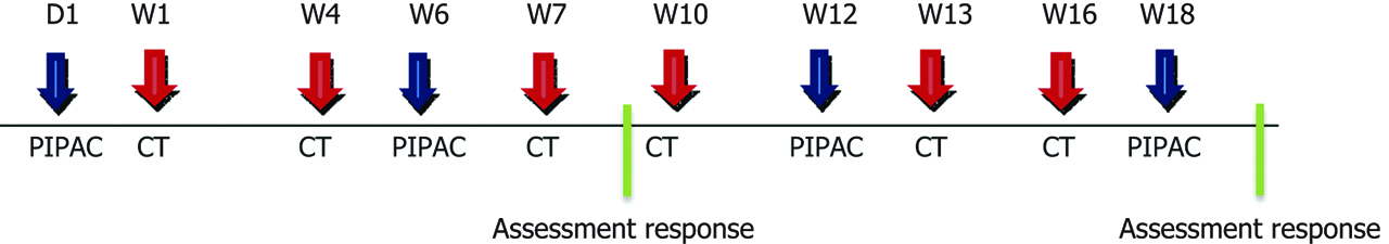 Figure 2: Therapeutic schedule of the experimental arm.
