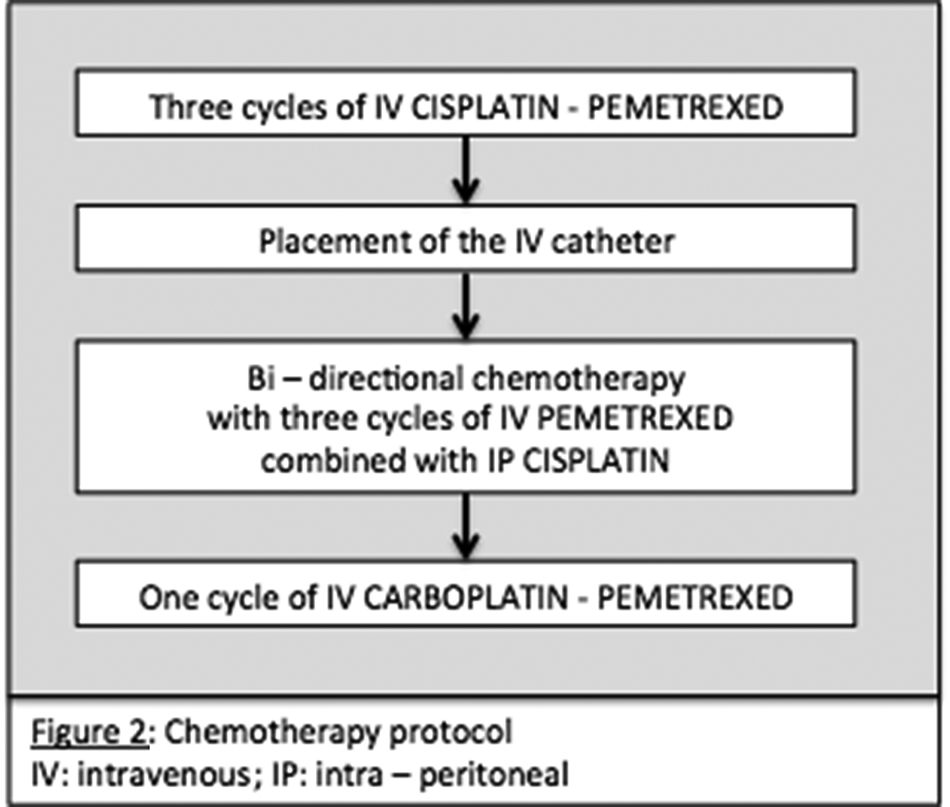 Figure 2: Detailed schedule of chemotherapy.