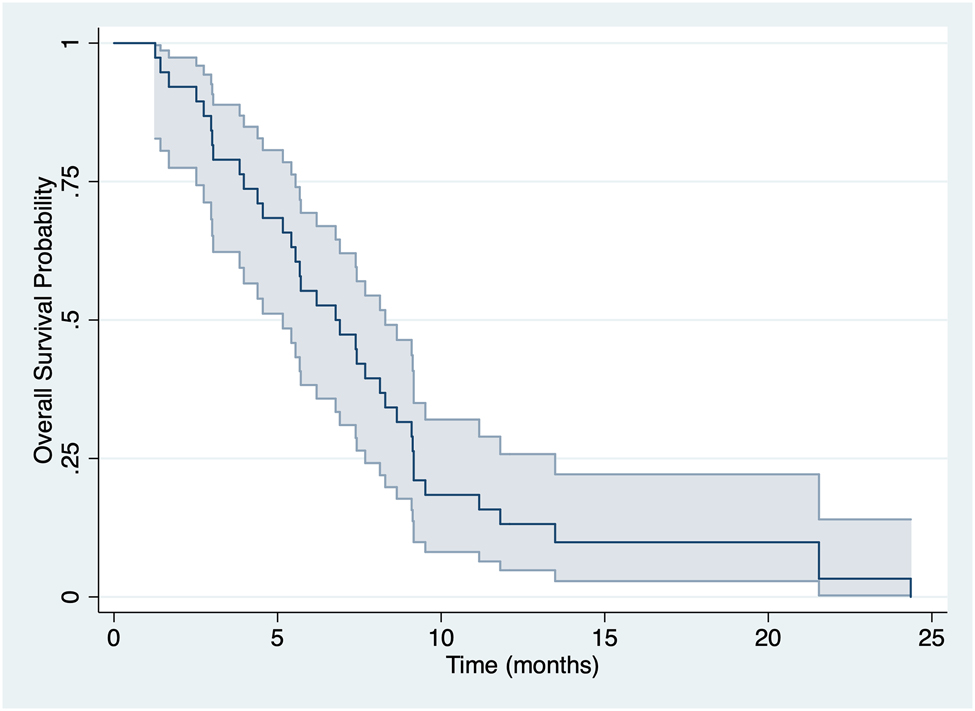 Figure 1: 
Overall survival analysis.
