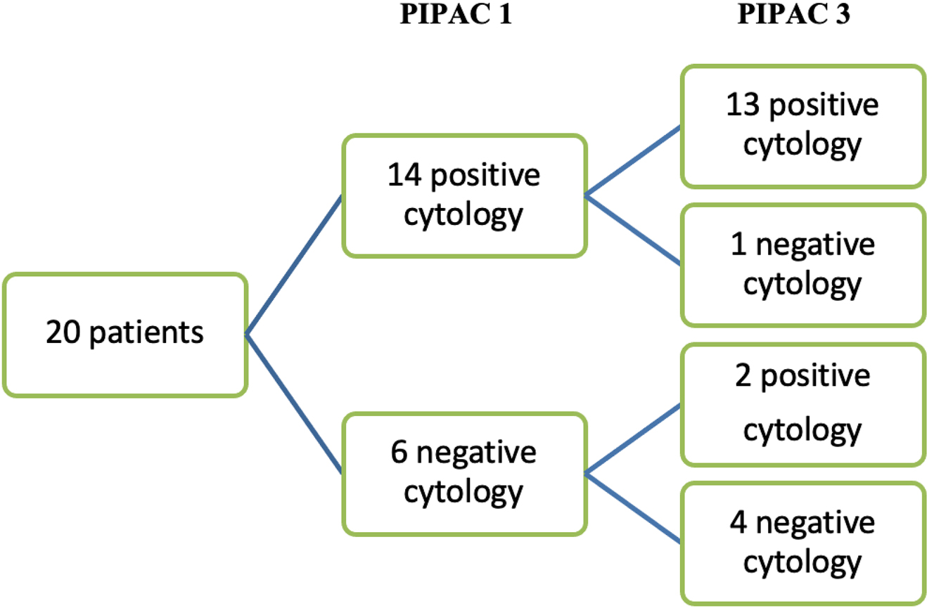 Figure 1: 
Flowchart of changes in cytology between PIPAC 1 and 3 (per protocol patients).
