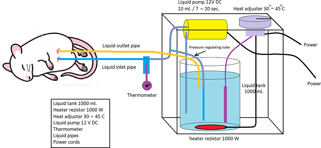 Figure 2: 
Intraperitoneal infusion pump system working diagram.
