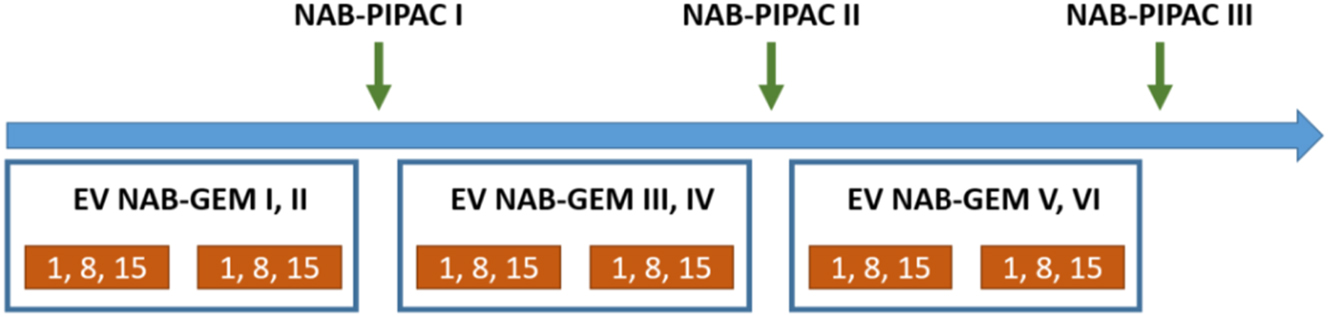 Figure 3:
Timeline of combined systemic Nabpaclitaxel-Gemcitabine and Nab-PIPAC.