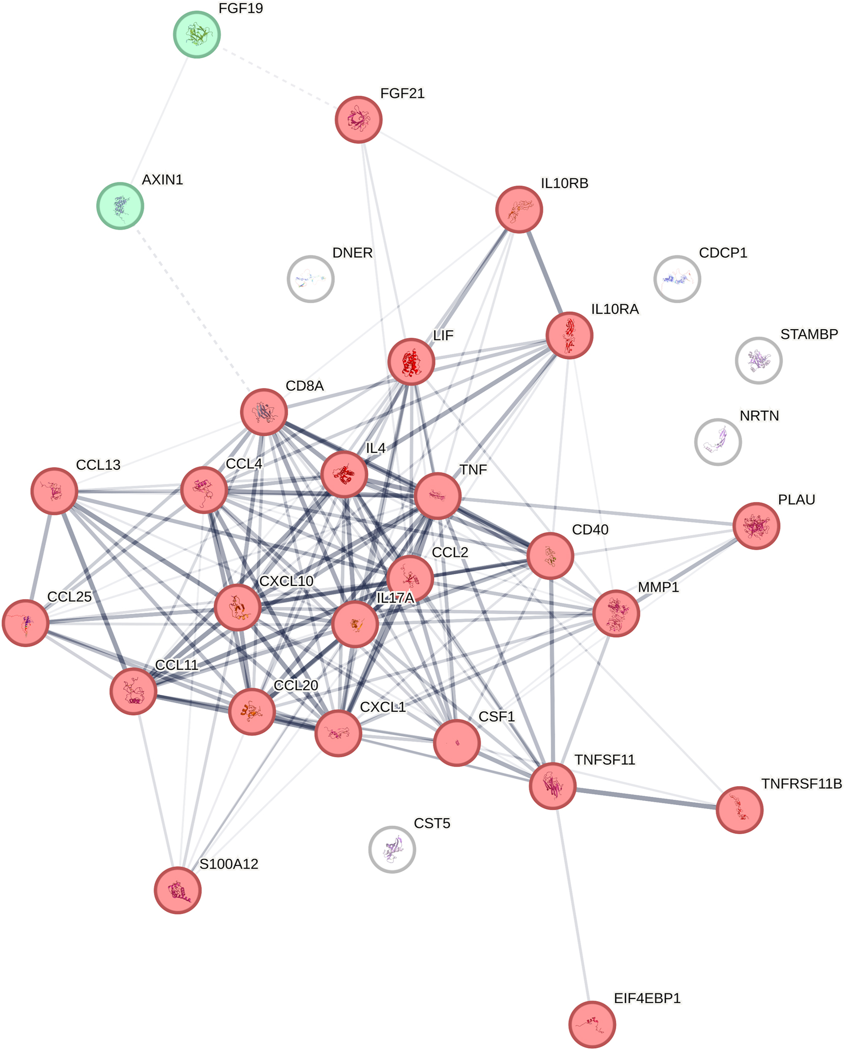Figure 2:
PPI STRING network including 34 of the 35 proteins of interest. Edges mark protein–protein associations by confidence, meaning the thickness of the lines indicates the degree of confidence of the predicted association. Two clusters are present: a red cluster of 24 nodes, and a green cluster of 2 nodes. Created with STRING 12.0.