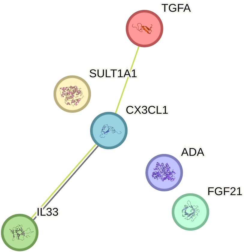 Figure 5:
STRING network conducted including the six inflammatory protein markers with significant results before adjustment. Edges mark protein–protein associations by evidence. Black line: protein coexpression networks. Green lines: text mining protein associations (automated mining algorithms to find statistical co-occurrence of candidate gene/protein names in scientific literature). Created with STRING 12.0.