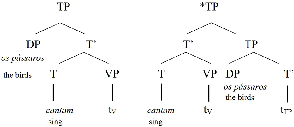 Figure 1: 
Derivation of sentences with definite subject DPs in BP according to Kato (2000: 233).