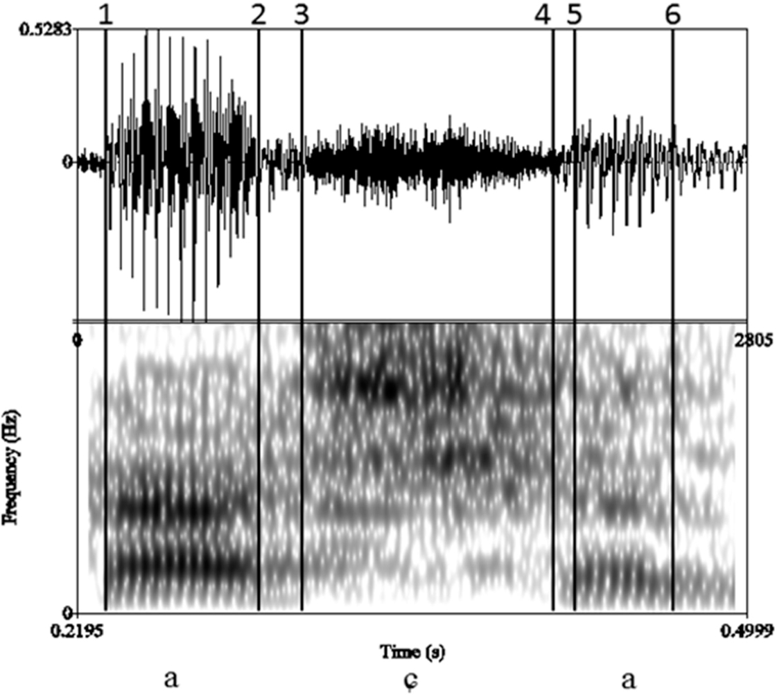 Figure 1 Oscillogram and spectrogram of Polish [aɕa] from the word Kasia [kaɕa] ‘Kate’.
