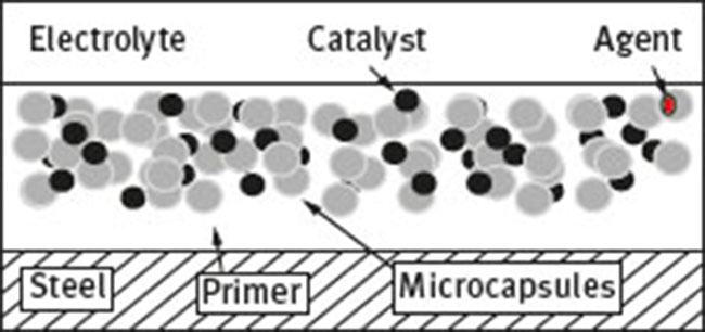 Fig. 13 Schematic representation of the microcapsules incorporated within the coating matrix.