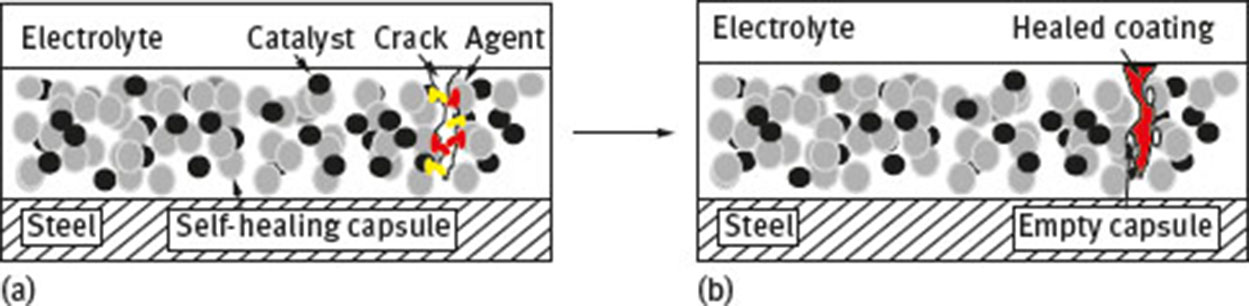 Fig. 14 Schematic representation of self-healing coating; (a) before and (b) after healing.