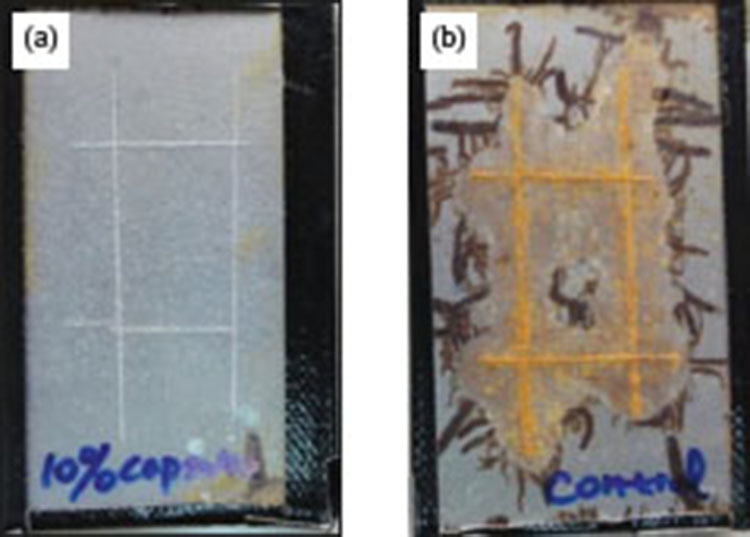 Fig. 19 Corrosion test results after exposure in 1 M NaCl solution for 48 h. (a) Self-healing coating, (b) control epoxy coating (modified and reprinted from [87] with permission from Elsevier).