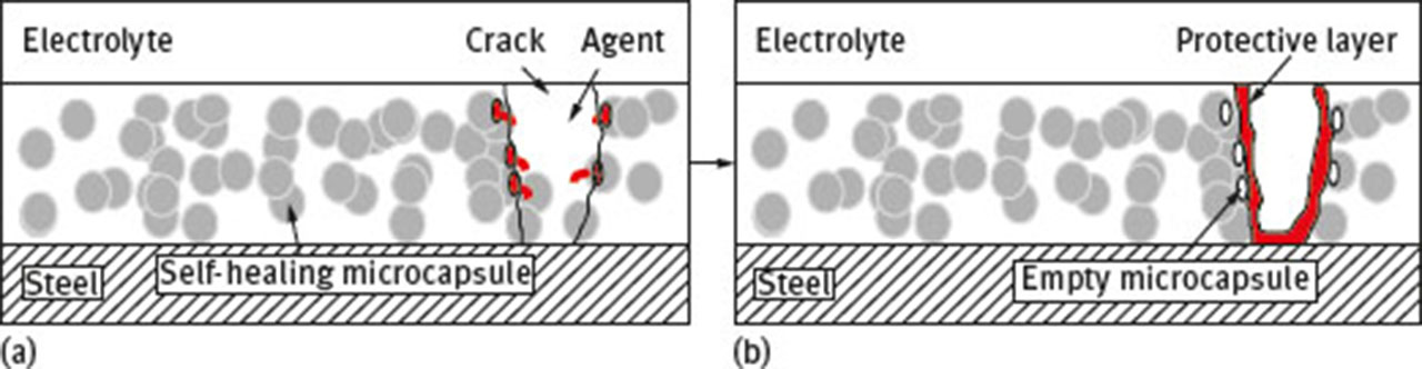 Fig. 20 Schematic representation of the anticorrosive hydrophobic layer of the self-healing coating; (a) before and (b) healed.