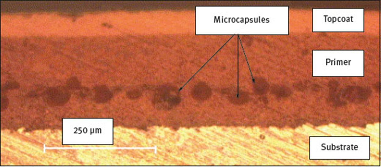 Fig. 39 Optical micrograph of a cross section of coating prepared by sandwiching a layer of microcapsules between two layers of primer (reprinted from [83] with permission from Elsevier).