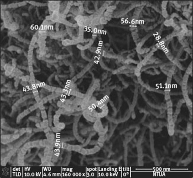 Fig. 3 SEM micrograph of the CNTs.