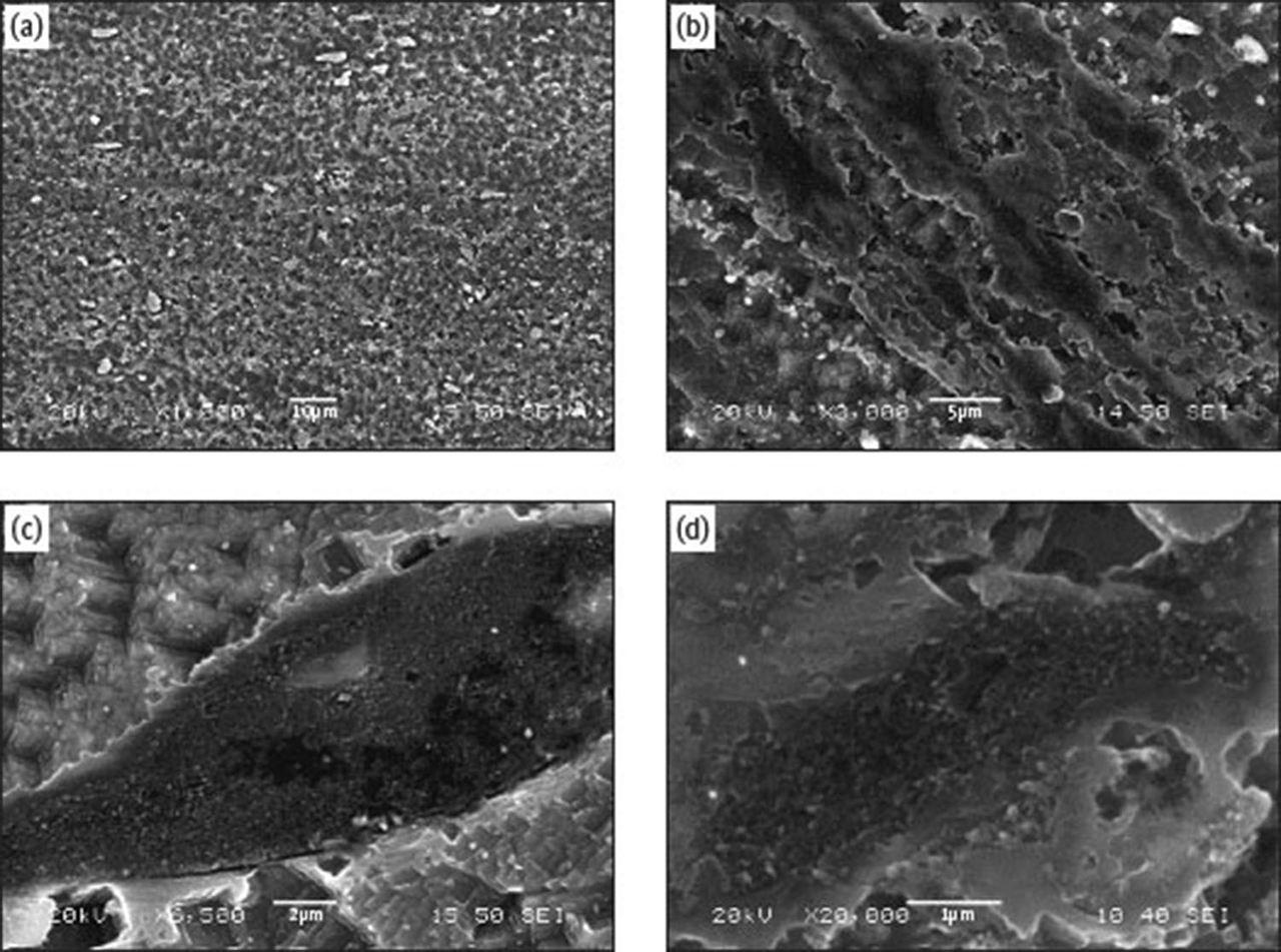 Fig. 8 Secondary electron SEM micrographs of several areas of the weld nugget of specimen 4: (a) 1000× magnification; (b) 3000× magnification, (c) 6500× magnification; (d) 20000× magnification.