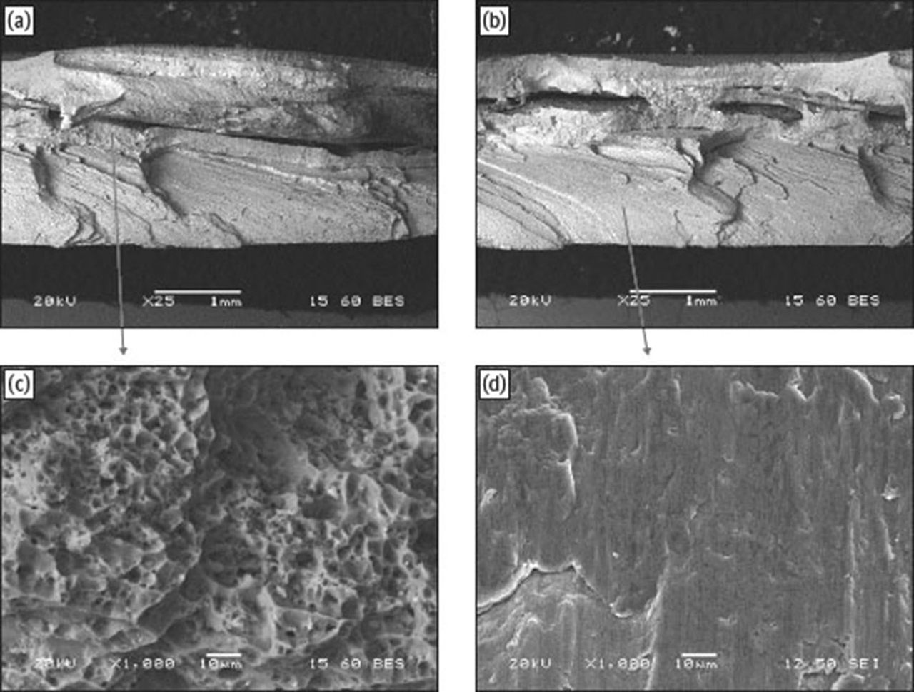 Fig. 14 Backscatter electron SEM micrographs of the fracture plane at the WN of the specimen 4 (c, d) Further magnification of the areas shown with arrows.