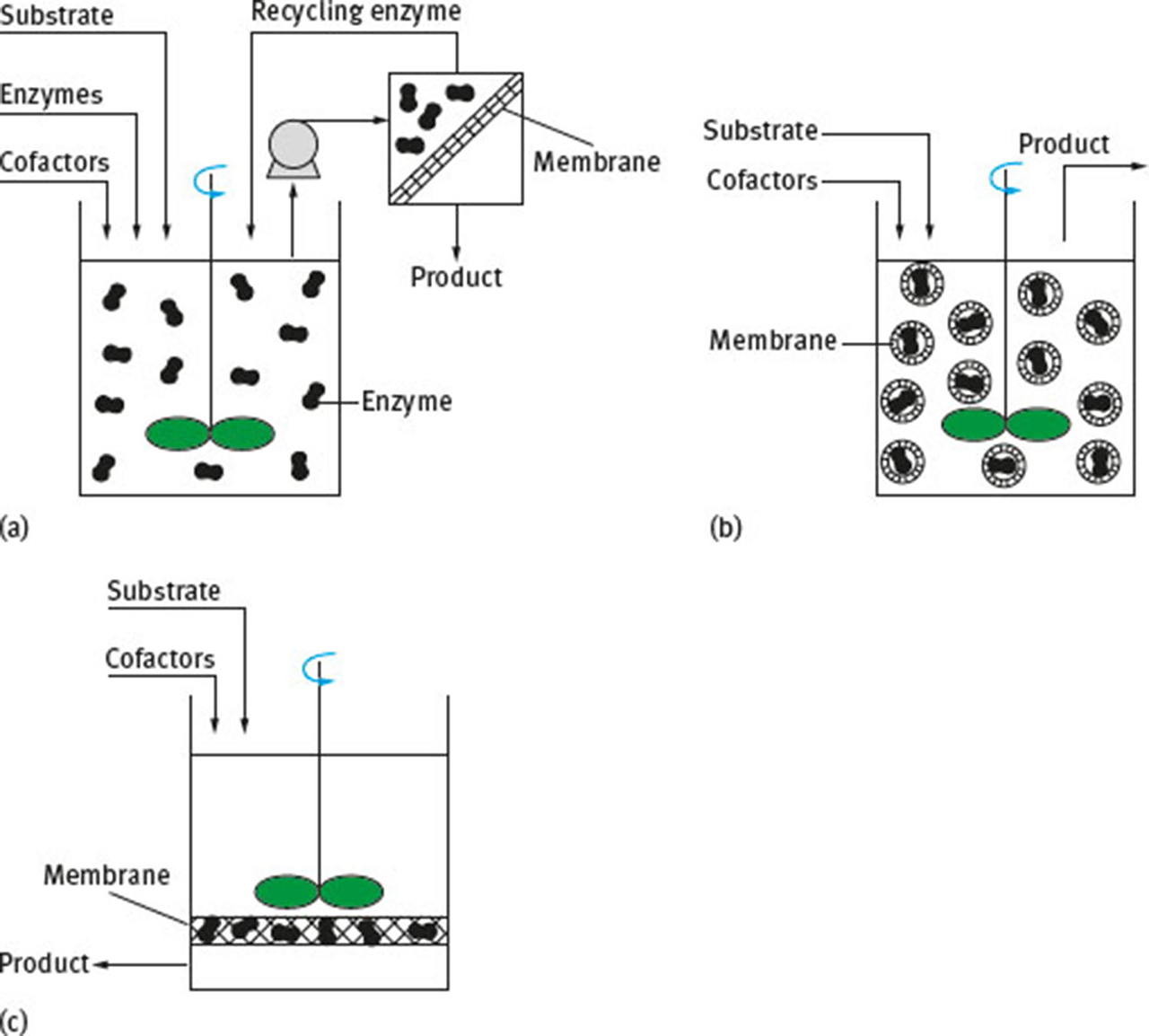 Fig. 3 Typical biocatalytic membrane reactor systems based on configurations shown in Fig. 2: (a) Stirred tank reactor combined with membrane module for enzyme recycle and product withdrawal; (b) Stirred tank with enzymes entrapped within core-shell microcapsules; (c) Stirred tank with enzymes immobilized within the membrane matrix.