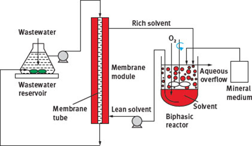 Fig. 10 Schematic of the biphasic EMBR process [78].