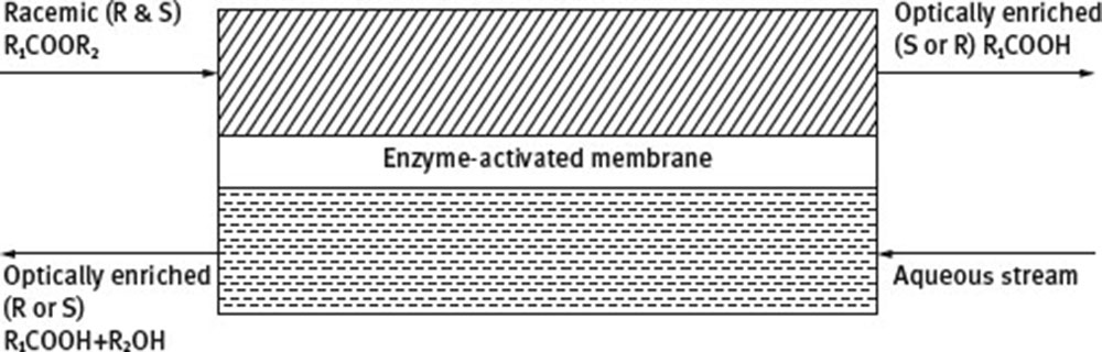 Fig. 27 Schematic representation of a method for the resolution of a racemic mixture of organic-soluble esters (chiral center on acid moiety).
