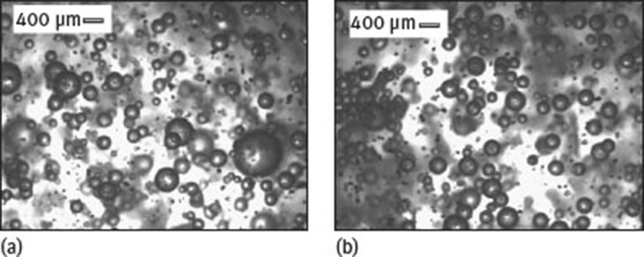 Fig. 5 Bubble images at ε¯T = 3.3 W/kg${\bar \varepsilon _T}\, = \,3.3\,{\rm{W}}/{\rm{kg}}$ during hydrogenation of 2-butene-1,4-diol in water: (a) 20 min after beginning the reaction; (b) post-reaction. Reprinted from Hu et al. © [9], with permission from Elsevier.