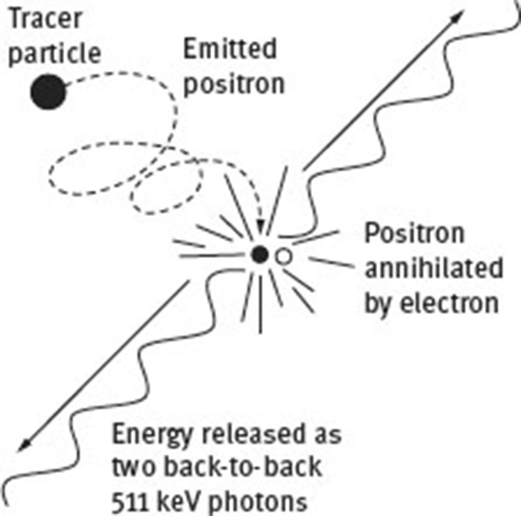 Fig. 9 Formation of back-to-back γ-rays from an emitted positron. From several such events, the tracer can be located by triangulation. Reprinted from Fish-wick et al. © [12], with permission from American Chemical Society.