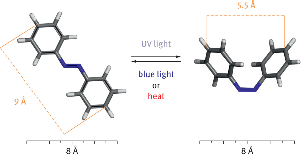 Fig. 2 Trans (left) and cis (right) geometric isomers of azobenzene.