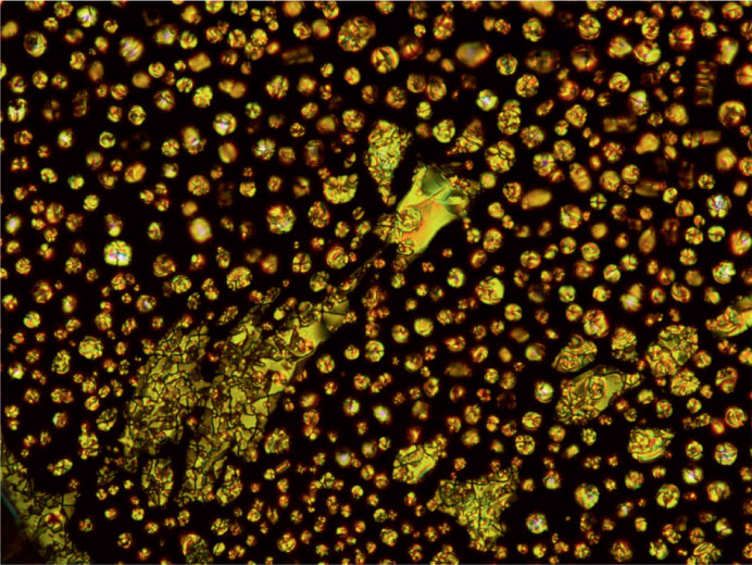 Fig. 10 Polarising optical photomicrograph (20×) of the complex obtained by the at 37 °C on cooling from the isotropic liquid. Reprinted with permission from [13]. Copyright (2015) American Chemical Society.