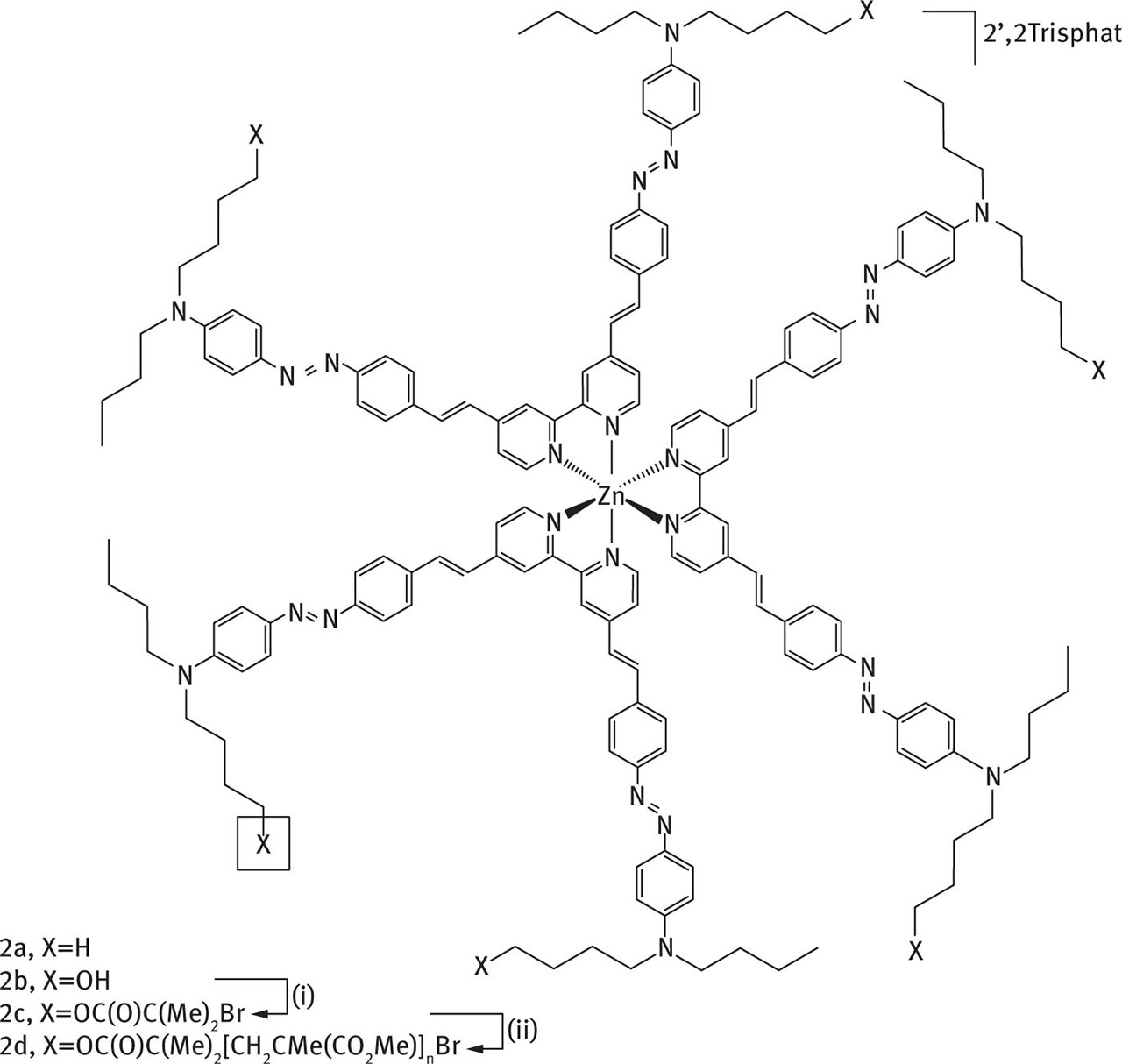 Fig. 15 Structures of zinc complexes 2a-daa   conditions: (i) BrC(Me)2C(O)Br, pyridine, THF, rt, 77%; (ii) MMA/CuBr/iPrN═C-Py, (600/6/12), MeOH, 60 °C, 85%. Reprinted with permission from [56]. Copyright (2004) American Chemical Society.