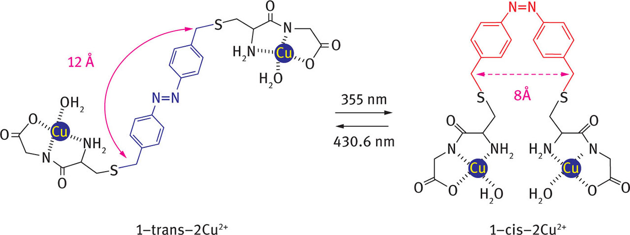 Fig. 22 Photoconversion between the trans and cis forms of 1-2Cu2+, in which the azobenzene chromophore links Cu(II)-bound CysGly peptides. Reprinted with permission from [68]. Copyright (2008) American Chemical Society.